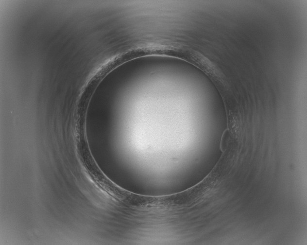 X0000054370732200508121539