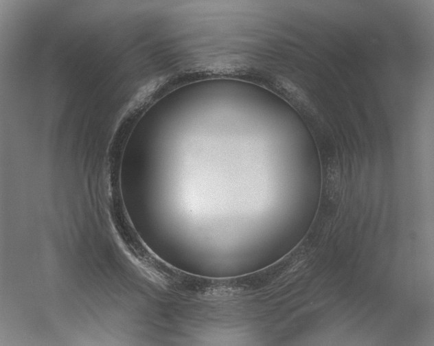 X0000054370734200508121539