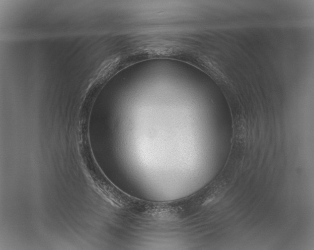 X0000054370738200508121539