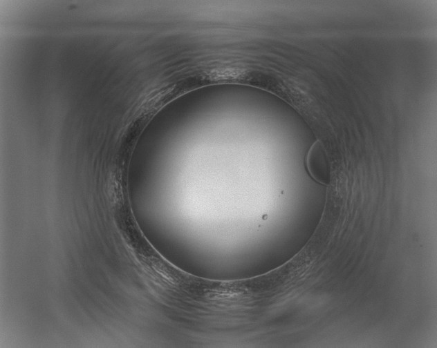 X0000054370743200508121540