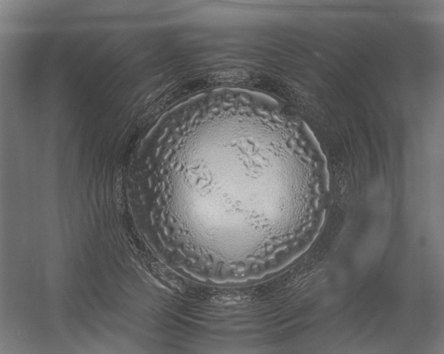 X0000054370745200508121540