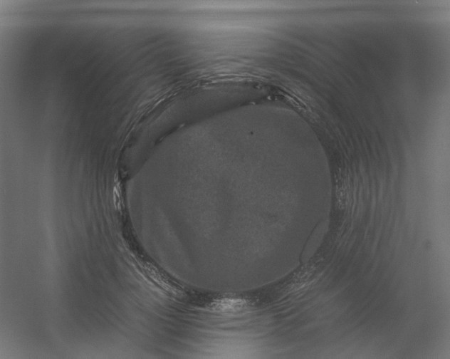 X0000054370748200508121540