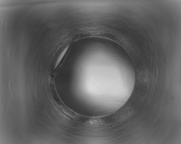 X0000054370752200508121540