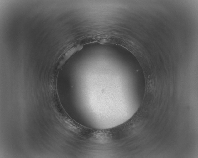 X0000054370756200508121540