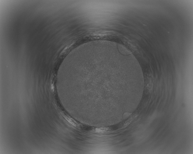 X0000054370758200508121540