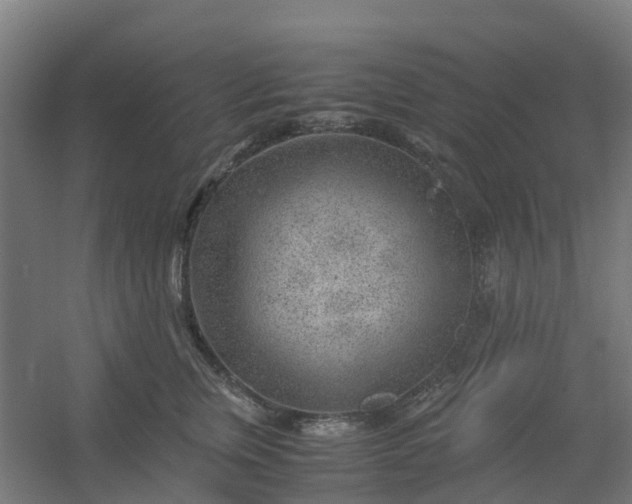 X0000054370759200508121540