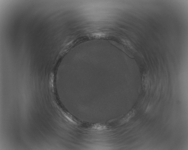 X0000054370760200508121540