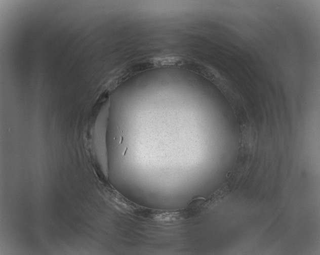 X0000054370761200508121540