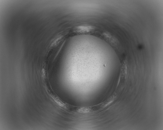 X0000054370762200508121540