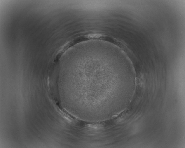 X0000054370763200508121540