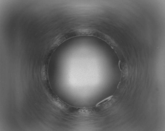 X0000054370764200508121540