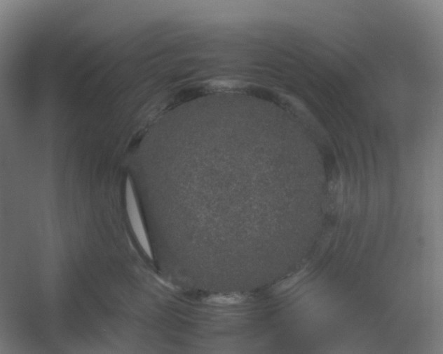 X0000054370765200508121540