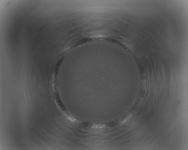 X0000054370767200508121540