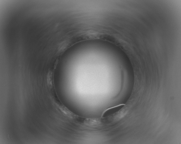 X0000054370768200508121540