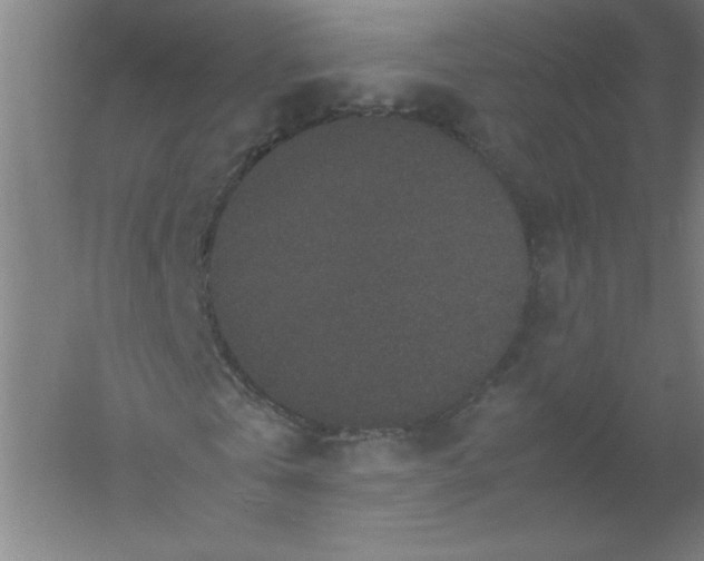 X0000054370769200508121539