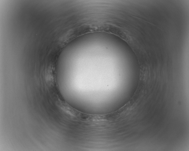 X0000054370770200508121539