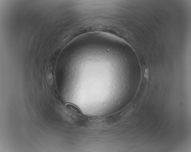 X0000054370771200508121539