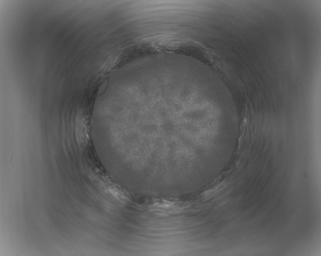 X0000054370772200508121539