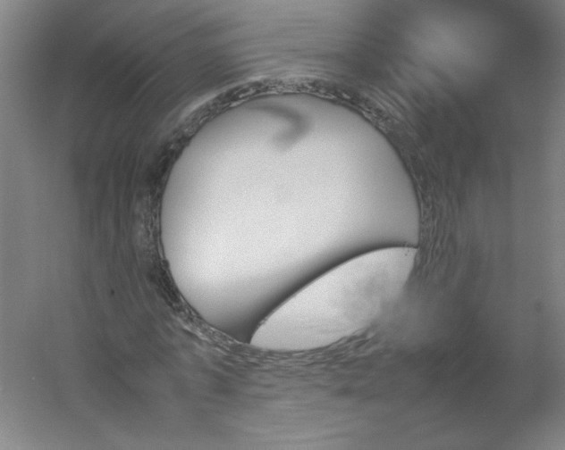 X0000054370773200508121539