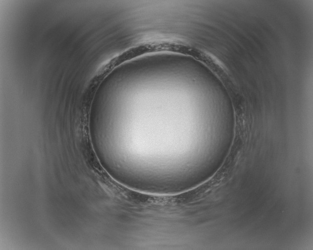 X0000054370775200508121539