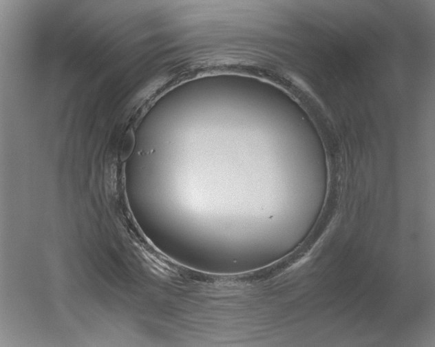 X0000054370777200508121539