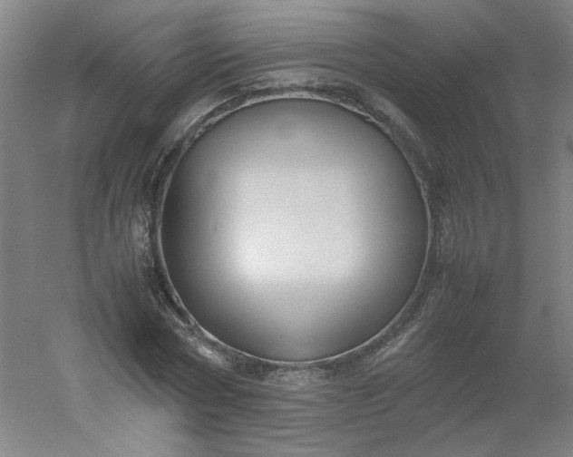 X0000054370778200508121539