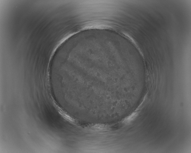 X0000054370779200508121539