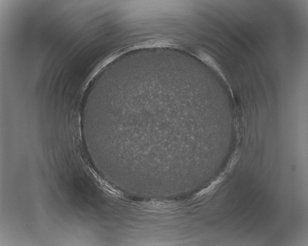 X0000054370781200508121539