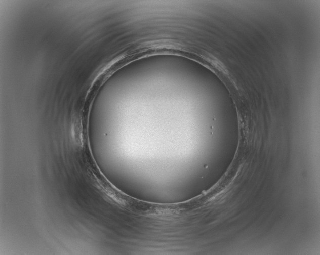 X0000054370782200508121539