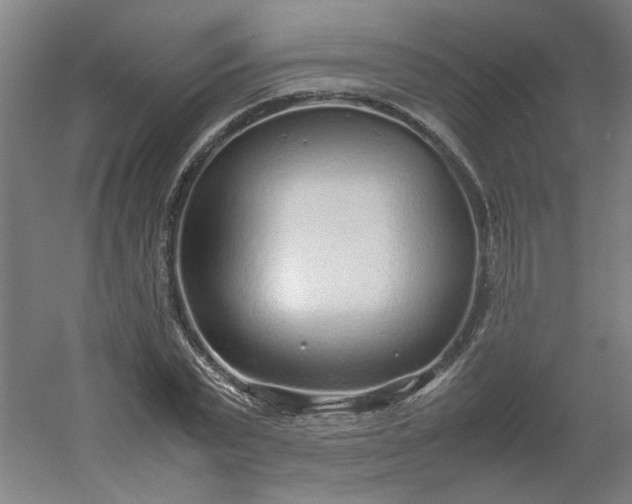 X0000054370783200508121539