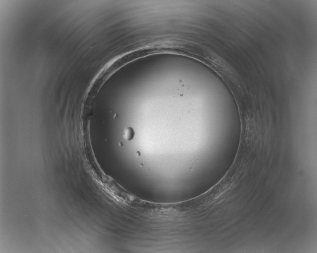 X0000054370784200508121539