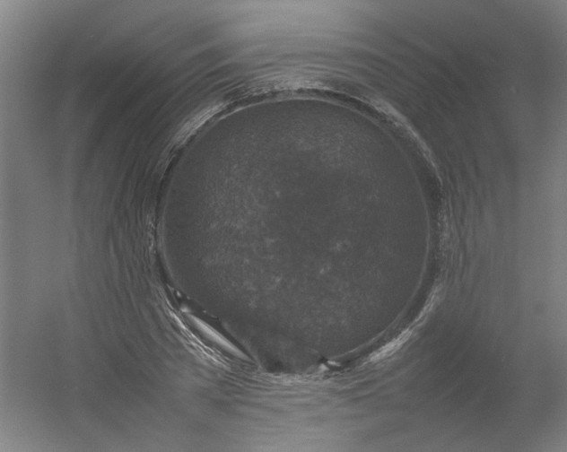 X0000054370785200508121539