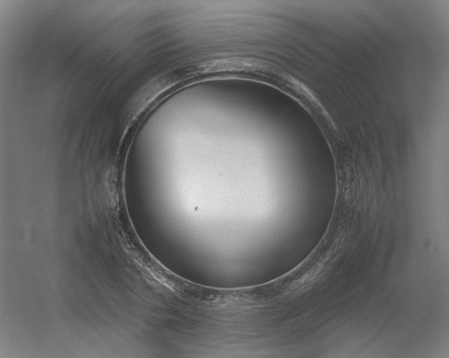 X0000054370786200508121539