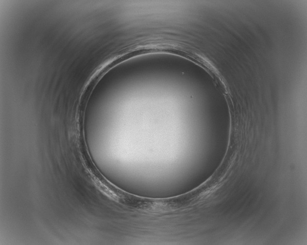 X0000054370787200508121539