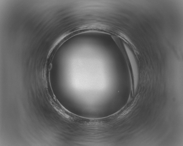 X0000054370788200508121539