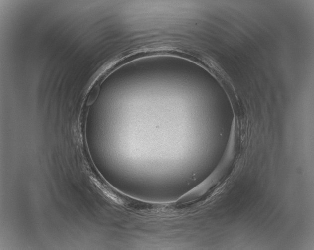 X0000054370789200508121539