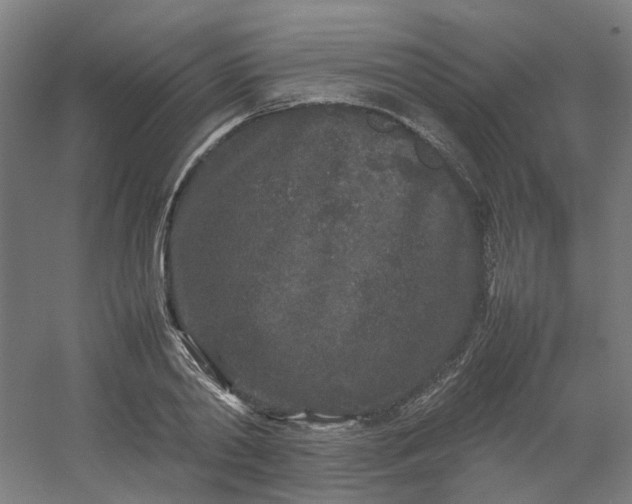 X0000054370790200508121539