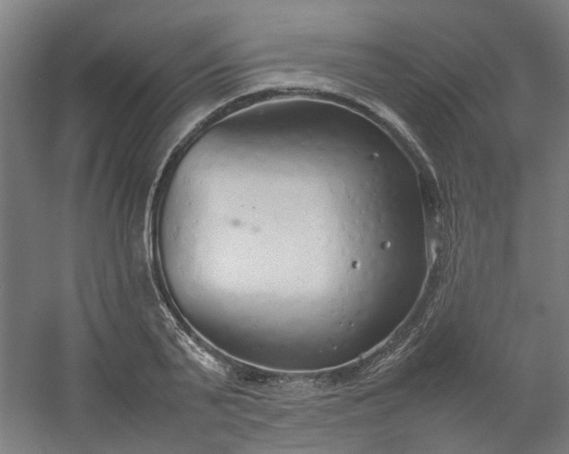 X0000054370791200508121539