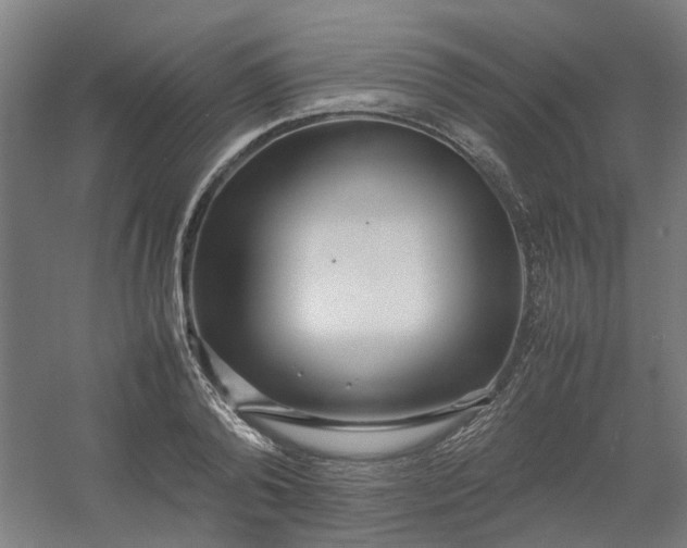 X0000054370792200508121539