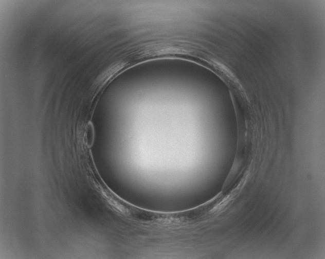 X0000054370793200508121539