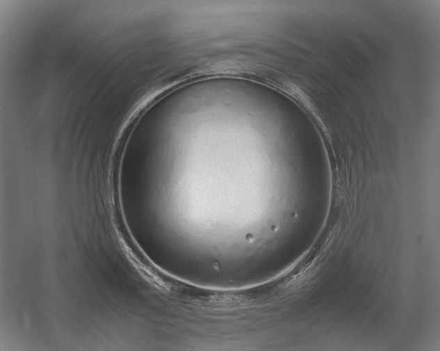 X0000054370795200508121539