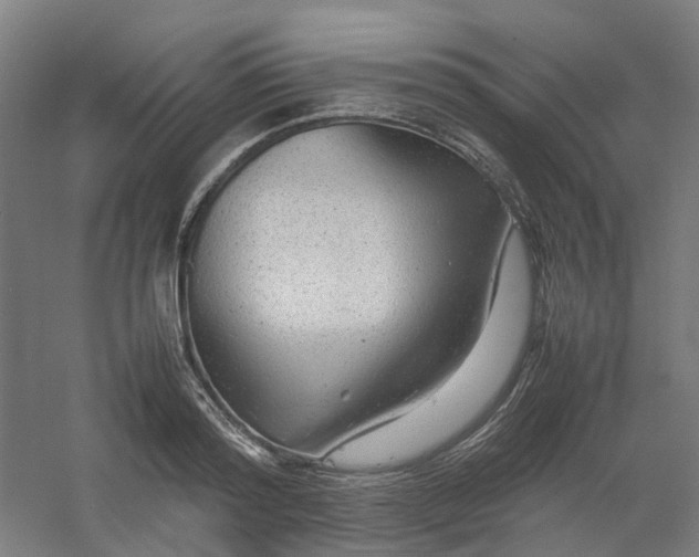 X0000054370796200508121539