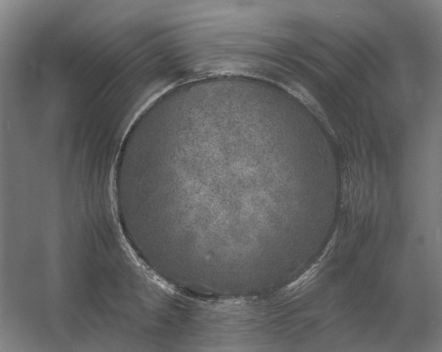 X0000054370798200508121539