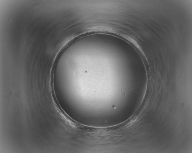 X0000054370799200508121539