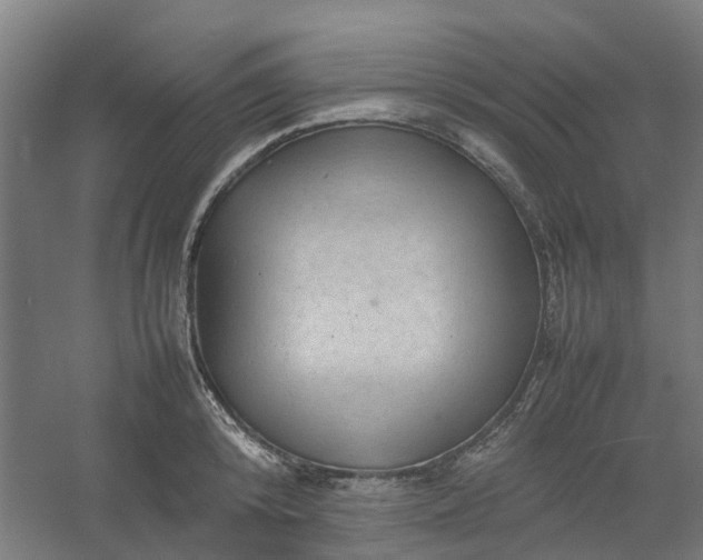 X0000054370800200508121539