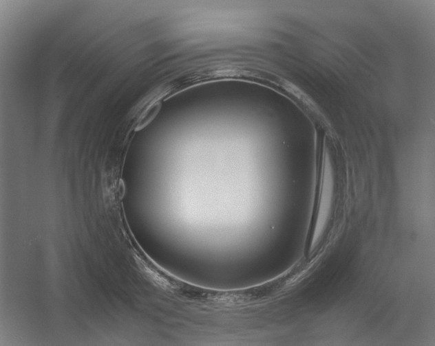 X0000054370801200508121539