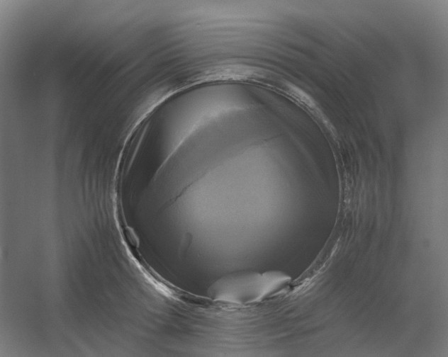 X0000054370802200508121539