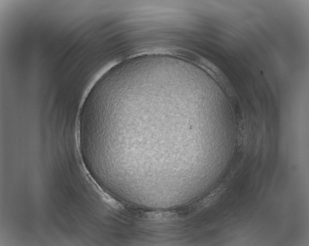 X0000054370804200508121539