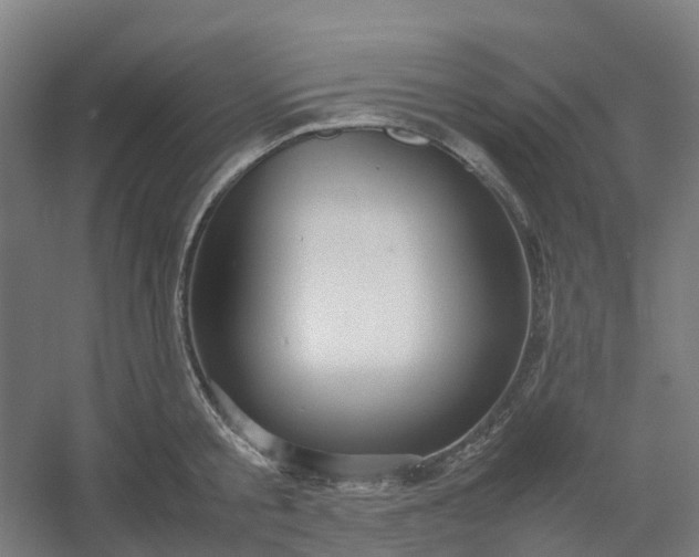 X0000054370805200508121539