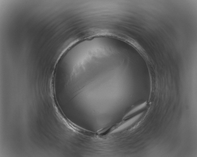 X0000054370806200508121539